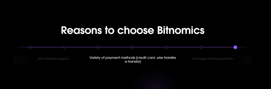 Bitnomics Website